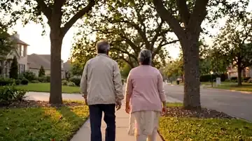 Seen from behind, an older couple walking side by side on a quiet tree-lined street at dusk